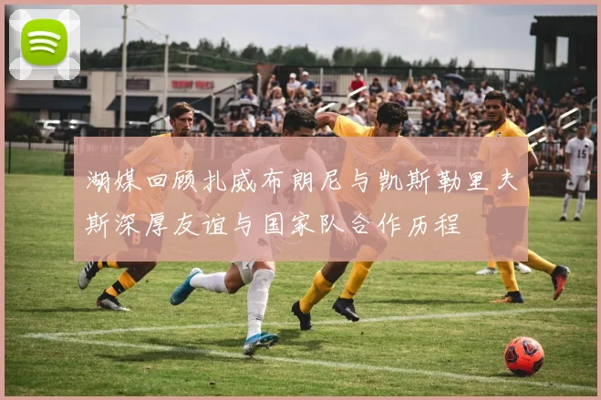 湖媒回顾扎威布朗尼与凯斯勒里夫斯深厚友谊与国家队合作历程